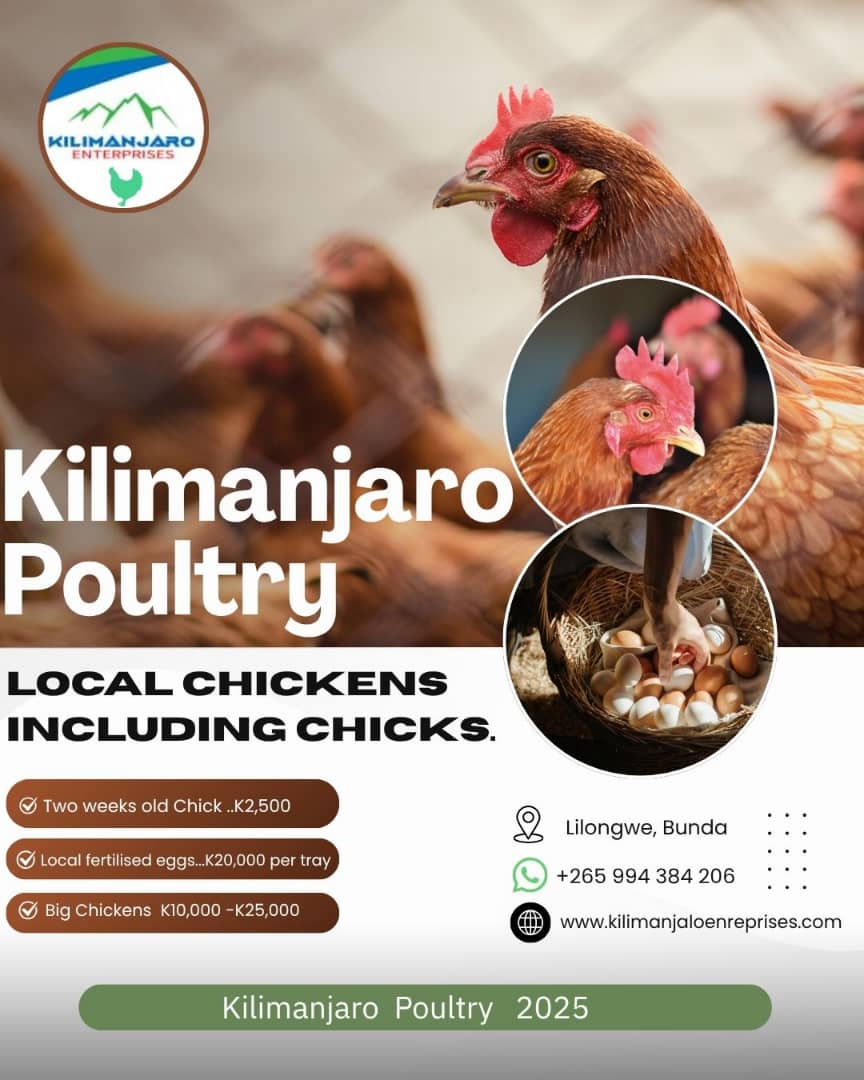 88baf600-aaf5-4a02-9370-a7b00668f531